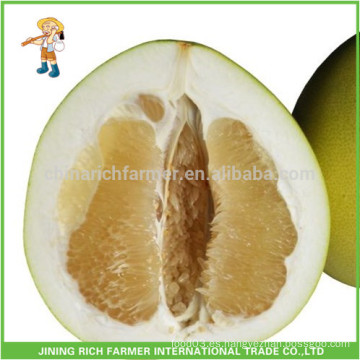 China Mejor Proveedor Natural Fresh Honey Pomelo